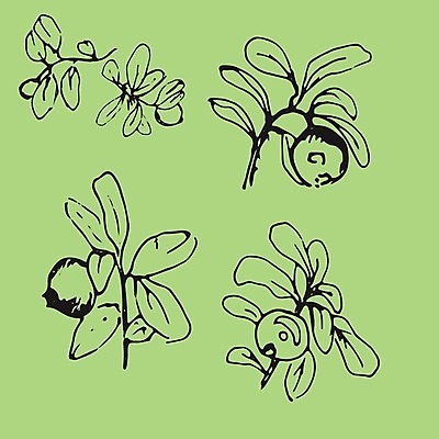 EPS 해외이미지 식물 손 디자인 배너 계절 열매 꽃 포스터 백그라운드 잎 꽃무늬 패턴 일러스트 자연 추상 프레임 미술 그래픽 장식 여름 세트 화환 봄 수확 가을 나뭇가지 인사 원형 신용카드 화려 우아함 낙서 수집 심볼 그림 복고 심플 초대 비네팅 내추럴 고립 엘리먼트 월계수 해외202004 해외일러스트 도형 나무 컨셉 무늬 농업 문화예술 촬영기법 신체부위 금융 예절 생태계 파일형식 벡터 이미지허브