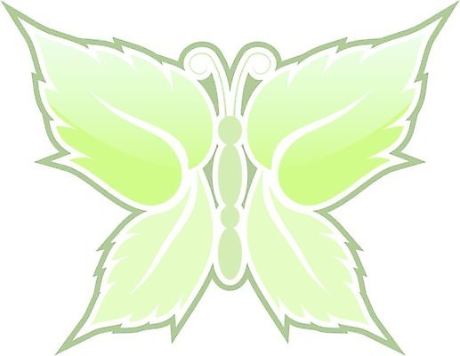 EPS 해외이미지 식물 나비 곤충 잎 일러스트 초록색 민트 허브 향신료 고립 대칭 해외202004 해외일러스트 동물 컬러 향미료 파일형식 벡터 이미지허브