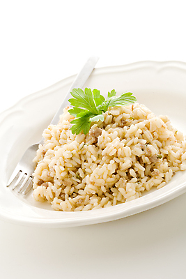 포토 JPG 해외이미지 접시 음식 포크 밥 파슬리 건강 육류 사람없음 이탈리아 최고 소시지 맛 매움 고립 리조또 해외202004 해외포토 식기 유럽 컨셉 채소 식재료 가공식품 파일형식 이미지허브