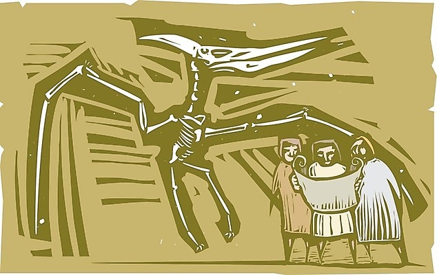 EPS 해외이미지 교육 날개 일러스트 파충류 자연 조류 뼈 역사 과학자 공룡 박물관 화석 고생물 멸종 발견 고고학 목판화 몬스터 지질학 쥬라기 해외202004 해외일러스트 동물 직업 과학 생물 생태계 학자 파일형식 벡터 이미지허브