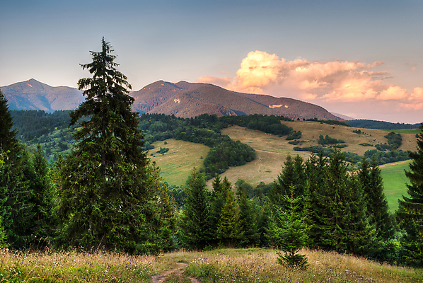 포토 JPG 해외이미지 나무 구름 유럽 여행 오렌지 자연 하늘 산 풍경 경사 사람없음 야외 초록색 파란색 일출 맑음 일몰 활발 하이킹 숲 땅 언덕 침엽수 슬로바키아 해외202004 해외포토 자연요소 식물 나라 컬러 컨셉 과일 레저 날씨 노을 생태계 파일형식 이미지허브