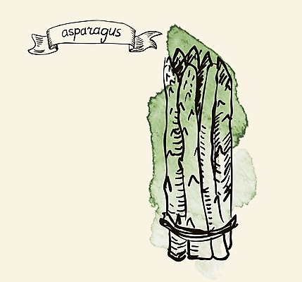 EPS 해외이미지 디자인 계절 창 음식 줄기 백그라운드 다이어트 채소 일러스트 재료 자연 수채화 건강 요리 초록색 새싹 식당 식사 페인트 샐러드 성장 흰색 신선 낙서 수증기 다발 메뉴 그림 유기농 아스파라거스 날것 내추럴 고립 생식 채식주의자 총쏘기 해외202004 해외일러스트 식물 웰빙 무기 컬러 모션 상점 생태계 채식 파일형식 벡터 이미지허브