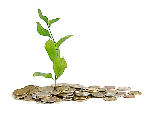 포토 JPG 해외이미지 식물 유럽 백그라운드 돈 비즈니스 자연 사람없음 초록색 금융 경제 새싹 환경 동전 유로 성장 흰색 재산 닫기 보호 발자국 투자 개발 고립 모종 생태학 승인 유럽연합 해외202004 해외포토 교육 나라 컬러 컨셉 자국 모션 생태계 파일형식 이미지허브