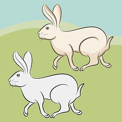 EPS 해외이미지 클립아트 캐릭터 디자인 계절 얼굴 어린이 분홍색 백그라운드 채소 일러스트 자연 휴가 부활절 동물원 미술 서기 미소 웃음 반려동물 장난감 봄 흰색 가리킴 아기 토끼 인사 신용카드 달콤 치아 작음 그림 사냥 귀 코믹 고립 해외202004 해외일러스트 일러캐릭터 동물 기념일 컬러 포유류 모션 문화예술 표정 사람 손짓 신체부위 금융 예절 소화기관 맛 크기 생태계 파일형식 벡터 이미지허브