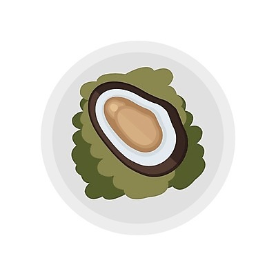 EPS 해외이미지 음식 채소 일러스트 조개 새우 연체동물 사람없음 계란 식사 샐러드 해산물 홍합 문어 노른자 캐비아 해외202004 해외일러스트 식재료 어패류 무척추동물 갑각류 알 수중동물 파일형식 벡터 이미지허브