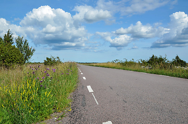 포토 JPG 해외이미지 식물 구름 계절 꽃 도로 선 백그라운드 꽃무늬 자연 하늘 스웨덴 풍경 사람없음 옆모습 장식 초록색 여름 파란색 노란색 우주 환경 벚꽃 흰색 시골 아스팔트 내추럴 길가 해외202004 해외포토 자연요소 길 뷰포인트 컬러 무늬 교통시설 북유럽 생태계 파일형식 이미지허브