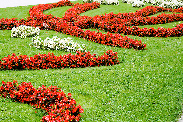 포토 JPG 해외이미지 식물 꽃 유럽 잔디 사람없음 빨간색 초록색 흰색 도시 아로마 화단 해외202004 해외포토 나라 컬러 파일형식 이미지허브