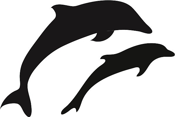 EPS 해외이미지 동물 실루엣 파도 바다 2 곡선 일러스트 포유류 자연 놀이 하늘 어류 미술 물 여름 파란색 점프 검은색 자유 소용돌이 흰색 만화 날씬함 돌고래 그림 지느러미 고립 무료 지능 해외202004 해외일러스트 자연요소 계절 선 컬러 컨셉 모션 문화예술 촬영기법 수중동물 회오리 몸매 생태계 파일형식 벡터 이미지허브