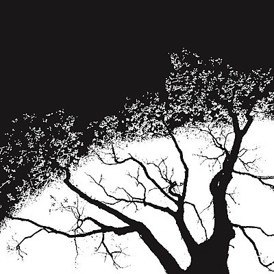 EPS 해외이미지 나무 실루엣 백그라운드 잎 꽃무늬 일러스트 자연 아침 아이디어 사랑 풍경 일출 환경 힘 침묵 황혼 일몰 봄 성장 나뭇가지 시골 화려 큼 대표 땅 언덕 그림 장면 지역 질서 거인 개발 복잡 수목 옛날 세련 부족함 해외202004 해외일러스트 주간 식물 계절 꽃 감정 컨셉 무늬 촬영기법 노을 소리 예절 크기 생태계 파일형식 벡터 이미지허브