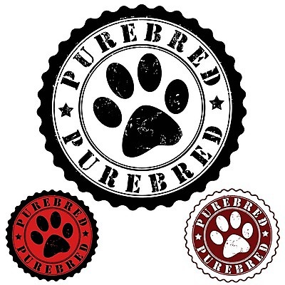 EPS 해외이미지 동물 영어 일러스트 사람없음 세트 도장 라벨 개발자국 해외202004 해외일러스트 문자 프레임 발자국 파일형식 벡터 이미지허브