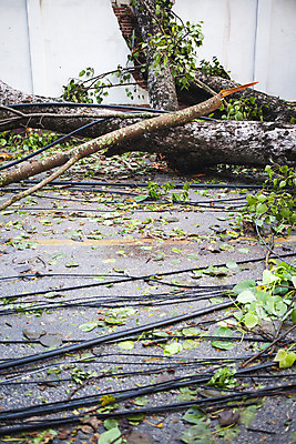 포토 JPG 해외이미지 나무 아시아 도로 선 잎 창문 태국 자연 바람 거리 주택 동양인 사람없음 야외 건물 목재 초록색 힘 손상 나뭇가지 쓰레기 파편 위험 장애물 언덕 폭풍 잡동사니 보험 내추럴 단절 수목 재앙 주장 폭풍우 해외202004 해외포토 자연요소 식물 건축물 나라 길 컬러 컨셉 재료 교통시설 날씨 인종 비_날씨 자연재해 생태계 파일형식 이미지허브