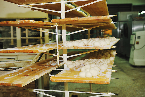 포토 JPG 해외이미지 공장 쟁반 실내 사람없음 저장 진열장 반죽 일렬 해외202004 해외포토 공업 내부 파일형식 이미지허브