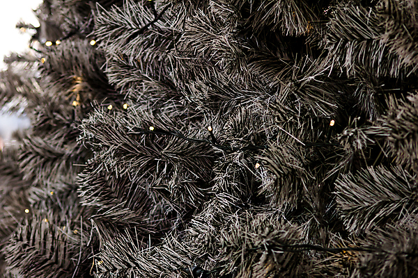 포토 JPG 해외이미지 식물 전통 계절 백그라운드 크리스마스 휴가 매달리기 사람없음 장식 가로 초록색 빛 회색 나뭇가지 소나무 닫기 상록수 전나무 인공 가문비나무 그리너리 해외202004 해외포토 나무 기념일 컬러 모션 파일형식 트랜드컬러 이미지허브