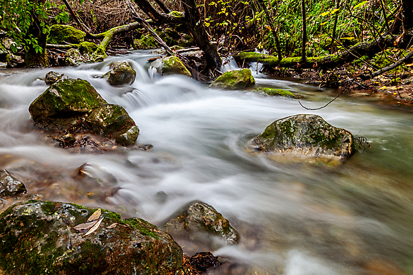 포토 JPG 해외이미지 나무 식물 길 여행 잎 자연 풍경 사람없음 초록색 물 강 환경 계곡 침묵 활발 흐름 가을 바위 나뭇가지 신선 개울 스페인 숲 강가 시원함 암초 해외202004 해외포토 자연요소 계절 유럽 컬러 컨셉 소리 돌_바위 생태계 파일형식 이미지허브