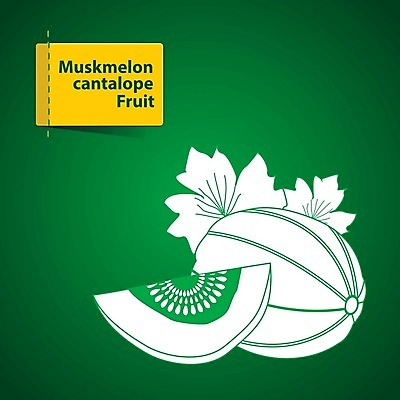 EPS 해외이미지 라이프스타일 디자인 음식 조각 스티커 오렌지 일러스트 자연 딸기 포도 수박 건조 바나나 건강 초록색 여름 라벨 정원 주스 수확 신선 체리 시장 달콤 맛 사과 만화 레몬 파인애플 그림 클립 산딸기 망고 고립 배려 살구 숙성 채식주의자 비건 해외202004 해외일러스트 계절 음료 컬러 컨셉 농업 과일 프레임 생활 열대과일 생태계 채식 파일형식 벡터 이미지허브