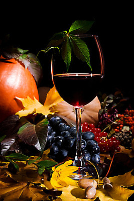 포토 JPG 해외이미지 전통 계절 꽃 음식 잎 과일 자연 유리 호박 포도 검은배경 휴가 건강 씨앗 사람없음 와인 식사 수확 가을 축하 떨어짐 사과 11월 레드와인 먹기 포도나무 박 성분 추수감사절 10월 포상금 많음 해외202004 해외포토 식물 기독교 백그라운드 컨셉 돈 농업 채소 모션 재질 주류 검은색 날짜 과일나무 생태계 파일형식 이미지허브