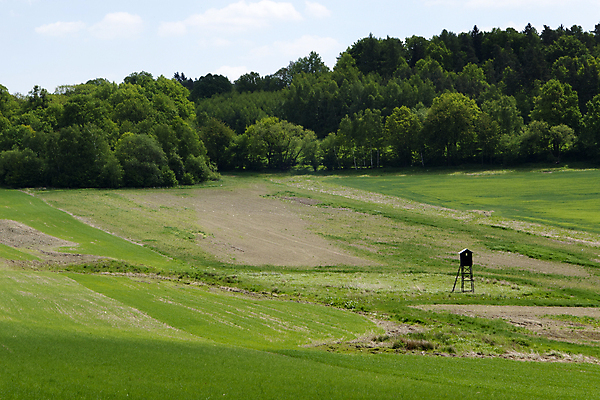 포토 JPG 해외이미지 나무 식물 구름 외관 유럽 도로 밭 농업 자연 하늘 풍경 사람없음 야외 목재 초록색 환경 와인 봄 성장 시골 숲 언덕 지역 체코 내추럴 공화국 보헤미아 생태학 수평선 모라비아 해외202004 해외포토 자연요소 계절 교육 나라 산업 길 컬러 재료 교통시설 주류 생태계 파일형식 이미지허브