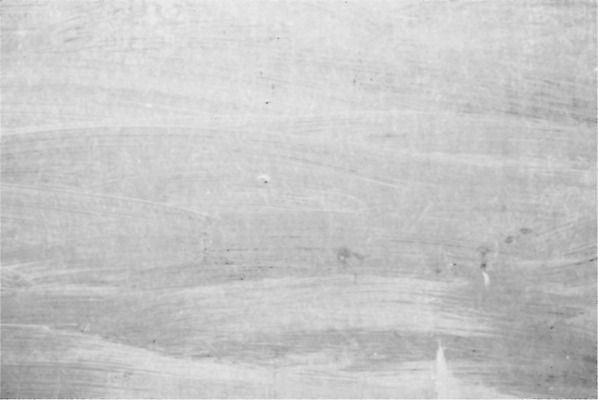 EPS 해외이미지 종이 벽 백그라운드 패턴 일러스트 건축양식 벽지 표면 날씨 추상 바닥 야외 내부 건물 우주 페인트 공백 방 회색 수확 바위 흰색 도시 얼룩 거친 부식 질감 복고 시멘트 고체 구식 그런지 석고 옛날 콘크리트 해외202004 해외일러스트 건축물 건축 컬러 무늬 농업 돌_바위 파일형식 벡터 이미지허브