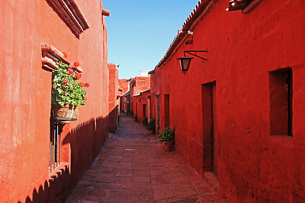 포토 JPG 해외이미지 꽃 종교 벽 포장 건축양식 거리 주택 사람없음 건물 빨간색 파란색 컬러풀 산타클로스 교회 문 미국 조약돌 사찰 복도 역사 아치 타운 수도원 남쪽 복잡 수녀원 식민지 안뜰 옛날 페루 회랑 해외202004 해외포토 식물 건축물 건축 컬러 컨셉 크리스마스 북아메리카 종교건축 돌_바위 도시 남아메리카 방향 파일형식 이미지허브
