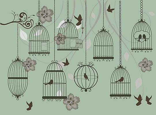 EPS 해외이미지 실루엣 일러스트 조류 매달리기 사람없음 초록색 세트 새장 해외일러스트 동물 컬러 모션 촬영기법 케이지 파일형식 벡터 이미지허브