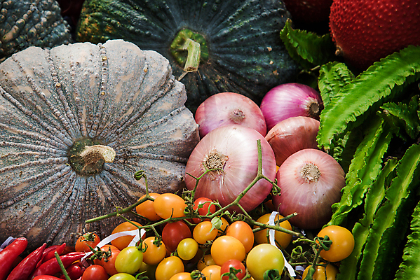 포토 JPG 해외이미지 식물 잡화 음식 다이어트 토마토 채소 과일 포도 오이 건강 종류 사람없음 초록색 쇼핑 정원 여러개 당근 수확 신선 사과 상품 브로콜리 균형 먹기 유기농 날것 후추 채식주의자 케일 디톡스 비건 해외202004 해외포토 웰빙 컬러 다수 농업 모션 뿌리채소 향신료 채식 파일형식 이미지허브