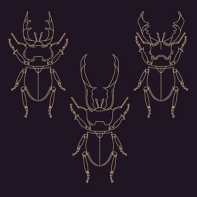 EPS 해외이미지 동물 디자인 포스터 야생동물 선 곤충 꽃무늬 패턴 일러스트 자연 추상 사슴 흑백 미술 그래픽 장식 여름 흰색 화려 역사 벌레 낙서 인쇄 스케치 딱정벌레 심볼 사인 생물학 윤곽 고립 엘리먼트 옛날 이국적 노화 스타일 해외202004 해외일러스트 계절 교육 꽃 컬러 컨셉 무늬 포유류 문화예술 촬영기법 생태계 파일형식 벡터 이미지허브