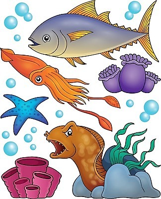 EPS 해외이미지 동물 바다 일러스트 부분 자연 불가사리 어류 미술 세트 머리 거품 바위 수집 참치 장어 오징어 지느러미 고립 동물상 소금물 아네모네 엘리먼트 해외202004 해외일러스트 꽃 문화예술 극피동물 연체동물 신체부위 조형물 수중동물 돌_바위 생태계 파일형식 벡터 이미지허브