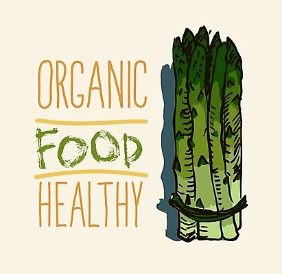 EPS 해외이미지 디자인 계절 창 음식 줄기 백그라운드 다이어트 채소 일러스트 재료 자연 수채화 건강 요리 초록색 새싹 식당 식사 페인트 샐러드 성장 흰색 신선 낙서 수증기 다발 메뉴 그림 유기농 아스파라거스 날것 내추럴 고립 생식 채식주의자 총쏘기 해외202004 해외일러스트 식물 웰빙 무기 컬러 모션 상점 생태계 채식 파일형식 벡터 이미지허브