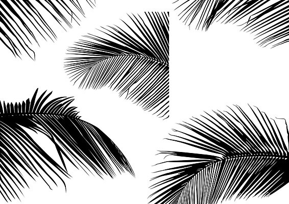 EPS 해외이미지 클립아트 식물 디자인 실루엣 잎 일러스트 자연 열대 손바닥 나뭇가지 이국적 해외202004 해외일러스트 나무 손 촬영기법 생태계 파일형식 벡터 이미지허브