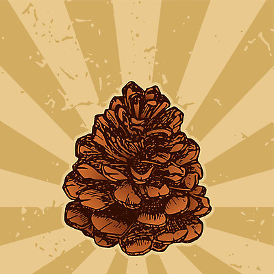 EPS 해외이미지 계절 크리스마스 겨울 일러스트 자연 휴가 장식 갈색 가을 소나무 스케치 솔방울 원뿔 그런지 옛날 해외202004 해외일러스트 도형 나무 기념일 컬러 미술 생태계 파일형식 벡터 이미지허브