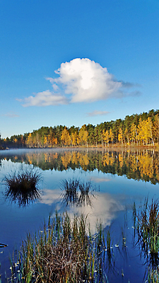 포토 JPG 해외이미지 나무 구름 공원 호수 여행 백그라운드 자연 하늘 풍경 사람없음 야외 목재 초록색 물 여름 파란색 강 햇빛 반사 침묵 일몰 거울 가을 숲 지역 내추럴 넘어짐 전국 수평선 해외202004 해외포토 자연요소 식물 계절 공공시설 컬러 재료 모션 태양 노을 소리 생태계 파일형식 이미지허브