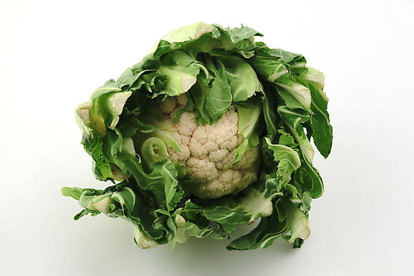 포토 JPG 해외이미지 계절 음식 농업 다이어트 채소 건강 요리 사람없음 초록색 새싹 정원 수확 가을 신선 시장 먹기 오브젝트 날것 채식주의자 해외202004 해외포토 식물 산업 컬러 모션 채식 파일형식 이미지허브