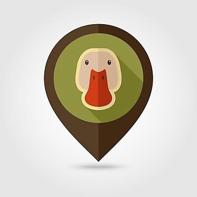 JPG EPS 해외이미지 한마리 일러스트 오리 사람없음 농장 위치 해외202004 해외일러스트 1 농업 조류 파일형식 벡터 이미지허브