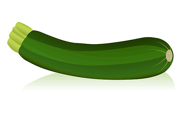 EPS 해외이미지 음식 채소 일러스트 재료 초록색 흰색 주키니 채식주의자 해외202004 해외일러스트 컬러 채식 파일형식 벡터 이미지허브