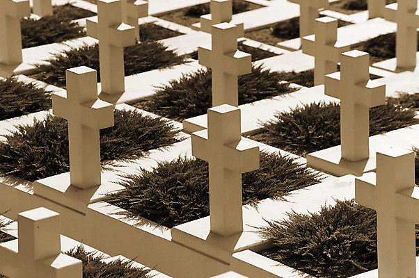 포토 JPG 해외이미지 유럽 문화 무기 십자가 사람없음 초록색 자유 흰색 죽음 그룹 역사 땅 충돌 묘사 오브젝트 군용 싸움 전쟁 대리석 육군 희생 영웅 기념물 천연기념물 장례 독립 서쪽 우크라이나 줄서기 추모 침범 통일 존경 해외202004 해외포토 나라 컬러 컨셉 재료 모션 군대 방향 파일형식 이미지허브