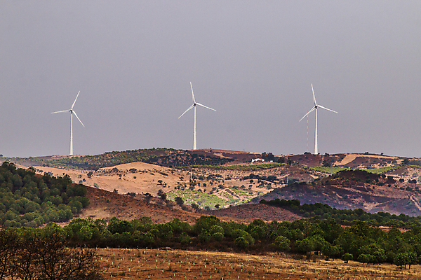 포토 JPG 해외이미지 나무 구름 유럽 밭 농업 자연 건조 풍경 사람없음 내부 여름 노란색 환경 맑음 흙 풍차 발전기 에너지 시골 뜨거움 황금 볏짚 땅 지중해 포르투갈 가뭄 해외202004 해외포토 자연요소 식물 계절 나라 산업 바다 컬러 날씨 발전소 짚 생태계 파일형식 이미지허브