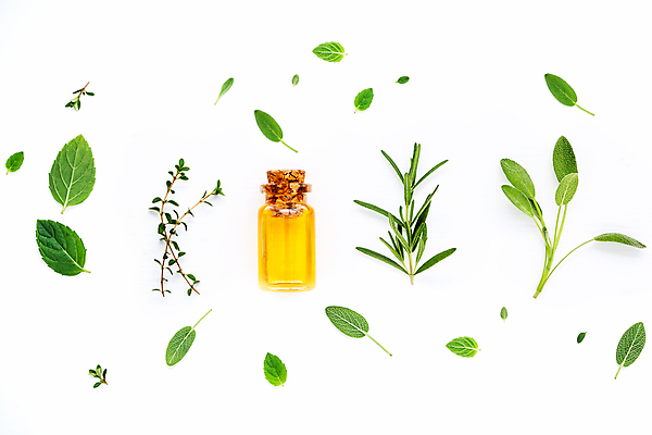 포토 JPG 해외이미지 사람없음 오일 오브젝트 아로마 아로마테라피 로즈메리 세이지 해외202004 해외포토 음식 화장품 허브 테라피 파일형식 이미지허브