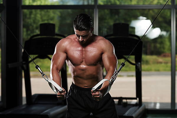 포토 JPG 해외이미지 백인 라이프스타일 남자 스포츠 포즈 근육 실내 건강 한명 성인 신체부위 운동복 어둠 힘 헬스장 웨이트트레이닝 보디빌딩 보디빌더 허리 복지 체육관 근육질 에어로빅 건강식 궤 대칭 복근 이두근 성인남자만 해외202004 해외포토 서양인 1 옷 음식 사람 내부 생활 운동 헬스 춤 사회이슈 몸매 남자만 성인만 파일형식 이미지허브