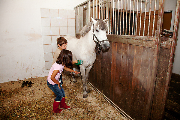 포토 JPG 해외이미지 동물 여자 스포츠 농업 가족 수업 생물 사람 두명 건물 농장 가축 흰색 승마 작음 청소 조랑말 몸단장 돌봄 해외202004 해외포토 건축물 교육 산업 컬러 관계 모션 말_동물 크기 파일형식 이미지허브