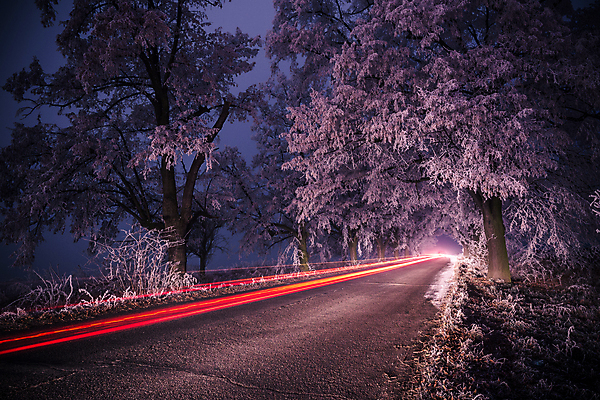포토 JPG 해외이미지 나무 계절 도로 길 여행 겨울 자국 자연 하늘 날씨 풍경 사람없음 야외 목재 빛 컬러풀 냉동 얼음 운전 추위 흰색 나뭇가지 숲 시원함 아스팔트 12월 속도 서리 장면 방법 눈내림 해외202004 해외포토 자연요소 식물 컬러 재료 교통시설 모션 눈_날씨 날짜 생태계 파일형식 이미지허브