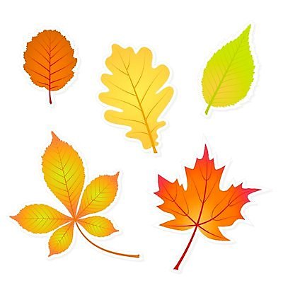 EPS 해외이미지 나무 식물 계절 종이 줄기 백그라운드 스티커 잎 오렌지 일러스트 비즈니스 자연 그림자 경사 장식 책 빨간색 초록색 노란색 꼬리표 라벨 세일 가을 흰색 신용카드 가격 9월 수집 심볼 흔적 5 한조각 승진 정맥 10월 내추럴 고립 스크랩북 해외202004 해외일러스트 1 컬러 과일 프레임 금융 숫자 날짜 생태계 혈관 파일형식 벡터 이미지허브