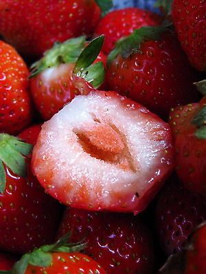 포토 JPG 해외이미지 음식 백그라운드 과일 딸기 사람없음 신선 달콤 자르기 숙성 해외202004 해외포토 모션 맛 파일형식 이미지허브