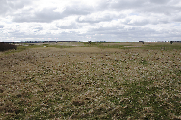 포토 JPG 해외이미지 구름 유럽 겨울 밭 자연 하늘 건조 덴마크 사람없음 야외 초록색 우주 환경 내추럴 스칸디나비아 해외202004 해외포토 자연요소 계절 나라 컬러 농업 북유럽 생태계 파일형식 이미지허브