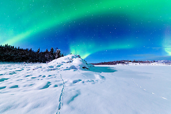 포토 JPG 해외이미지 겨울 자연 밤하늘 하늘 사람없음 야외 설원 야간 오로라 겨울풍경 해외202004 해외포토 자연요소 계절 자연현상 눈_날씨 풍경 생태계 파일형식 이미지허브