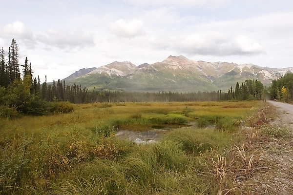 포토 JPG 해외이미지 나무 구름 공원 길 백그라운드 겨울 자국 자연 하늘 휴가 휴식 산 풍경 사람없음 야외 초록색 걷기 얼음 하이킹 시골 황무지 숲 오솔길 언덕 배낭여행 산등성이 빙하 장면 알래스카 고립 리갈 선로 전국 절정 해외202004 해외포토 자연요소 식물 계절 공공시설 컬러 여행 컨셉 모션 레저 미국 생태계 파일형식 이미지허브