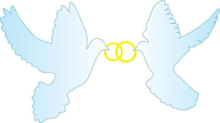 EPS 해외이미지 모양 동물 전통 디자인 실루엣 결혼 백그라운드 컨셉 일러스트 회사 자연 조류 추상 휴가 사랑 미술 그래픽 유행 평화 희망 자유 흰색 축하 심볼 깃털 비둘기 클립 고립 돌봄 무료 엘리먼트 해외202004 해외일러스트 감정 컬러 무늬 비즈니스 모션 문화예술 촬영기법 이벤트 생태계 파일형식 벡터 이미지허브