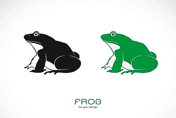 EPS 해외이미지 동물 캐릭터 디자인 실루엣 야생동물 음식 백그라운드 일러스트 자연 추상 동물원 육류 개구리 양서류 미술 앉기 사람없음 그래픽 초록색 반려동물 검은색 식사 흰색 만화 문신 심볼 사인 그림 청개구리 윤곽 두꺼비 고립 동물상 엘리먼트 특별함 해외202004 해외일러스트 일러캐릭터 컬러 컨셉 무늬 식재료 모션 문화예술 촬영기법 조형물 생태계 파일형식 벡터 이미지허브