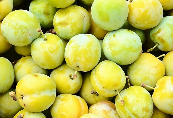 포토 JPG 해외이미지 식물 계절 열매 음식 백그라운드 패턴 농업 다이어트 과일 자연 건강 사람없음 여름 노란색 수확 가을 신선 시장 달콤 유기농 질감 날것 자두 내추럴 숙성 채식주의자 해외202004 해외포토 웰빙 산업 컬러 무늬 맛 생태계 채식 파일형식 이미지허브