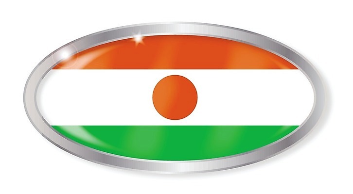 EPS 해외이미지 일러스트 미술 그래픽 깃발 은색 그림 배지 고립 니제르 해외202004 해외일러스트 컬러 문화예술 파일형식 벡터 이미지허브