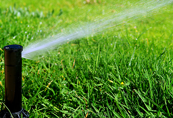 포토 JPG 해외이미지 공원 밭 농업 자연 건조 풍경 잔디 사람없음 장식 초록색 물 여름 환경 정원 봄 장비 젖음 안개 성장 물방울 신선 뜨거움 보호 그늘 수분 시원함 땅 유기농 원예 분무기 시스템 펌프 유지 샤워실 스프링쿨러 해외202004 해외포토 자연요소 식물 웰빙 계절 공공시설 산업 컬러 컨셉 날씨 취미 생태계 샤워시설 파일형식 이미지허브